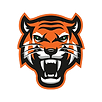 Jones High School Football